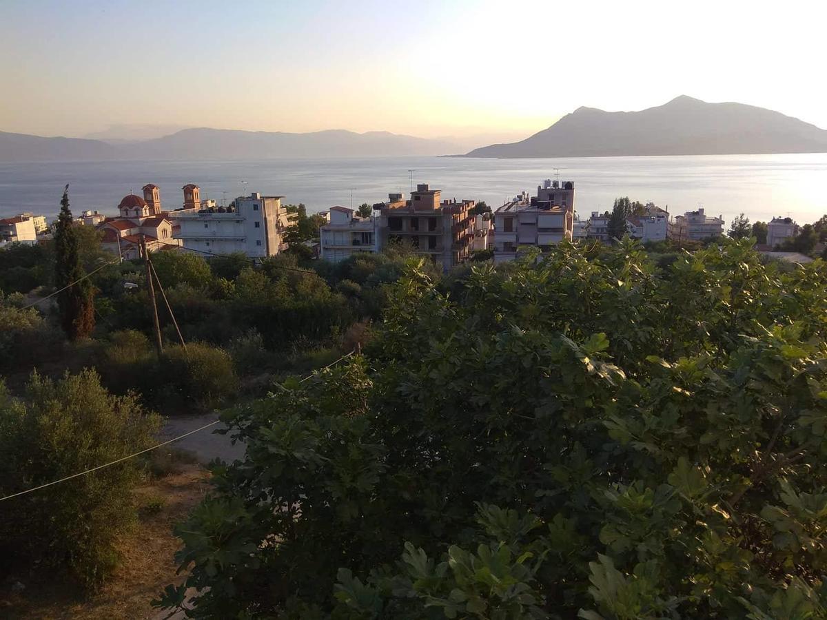 Apanemo * Loutra Edipsou (Evia)